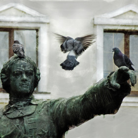 Памятник и птицы